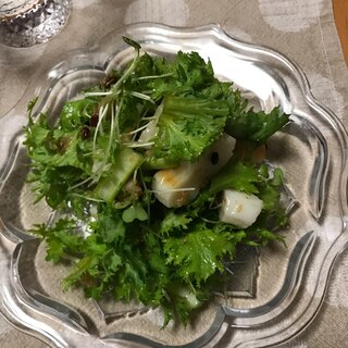 わさび菜と笹かまのキヌアのポン酢サラダ